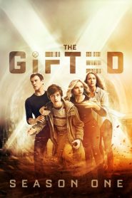The Gifted: Temporada 1