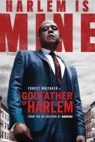 El padrino de Harlem: Temporada 1